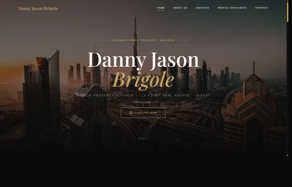 Danny Brigole interface